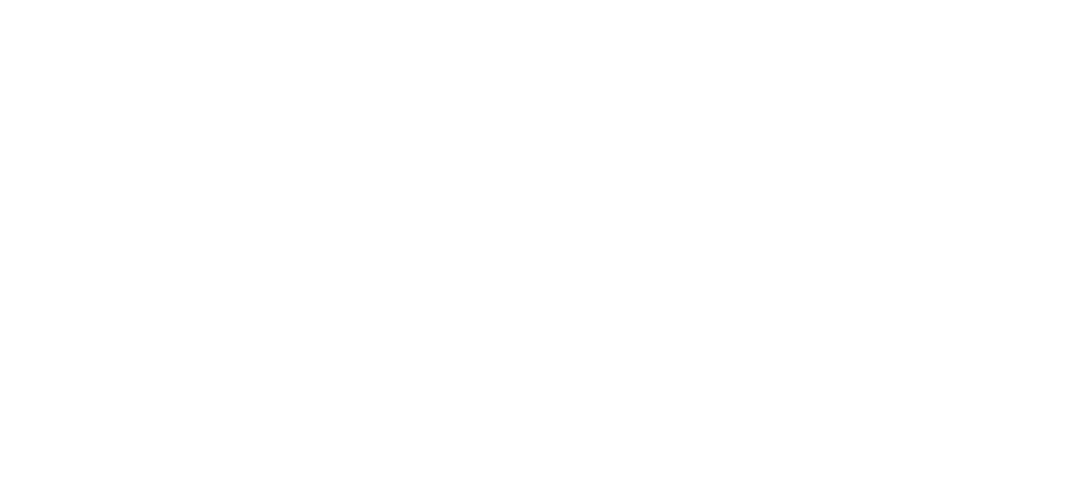 Instituto Papo Reto